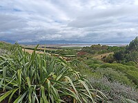 IMG_20230129_211845_MP