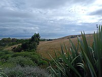 IMG_20230129_211851_MP