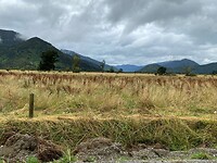 IMG-20230131-WA0004
