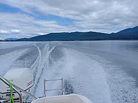 IMG_20230210_141529_MP