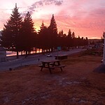 IMG_20230218_065013_MP