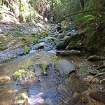 IMG_20230219_141232_MP