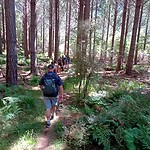 IMG_20230219_133322_MP