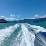 IMG_20230219_160841_MP