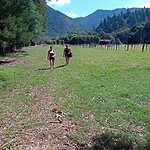 IMG_20230219_153234_MP