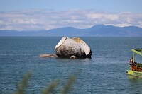 IMG_5301