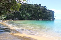 IMG_5305