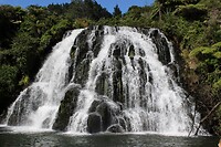 IMG_5061