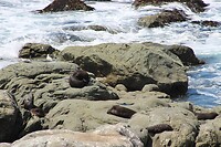IMG_5117