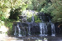 IMG_5224