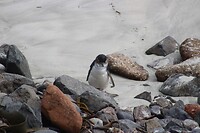 IMG_5239
