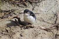 IMG_5267