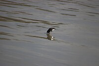 IMG_5288