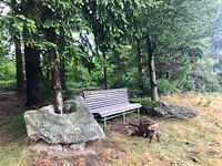 IMG_2055