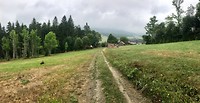 IMG_2061
