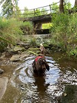 IMG_0092
