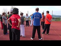 Correcties van Sui Qingbo