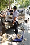 DSC01326