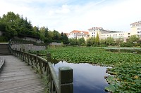DSC01552