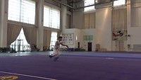 Wushu demo