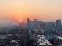 IMG_3453