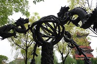 DSC02092