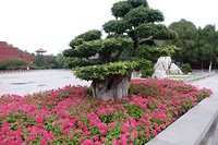 DSC02137
