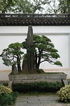 DSC02252