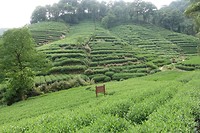 DSC02368