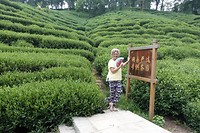 DSC02378