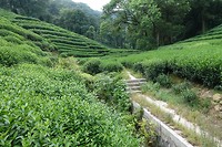 DSC02380