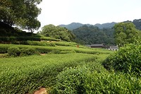 DSC02385