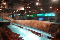DSC02903