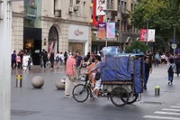 DSC02921