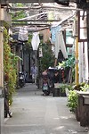 DSC02949