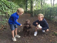 IMG_3976