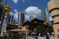 DSC03165