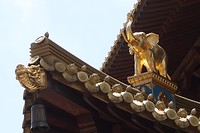 DSC03204