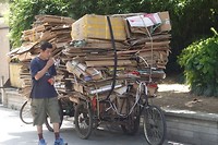 DSC03231
