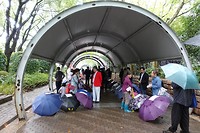 DSC03357