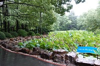 DSC03361