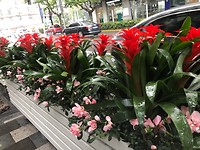 IMG_4068