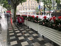 IMG_4070