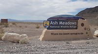 Ash Meadows Wildlife Refuge