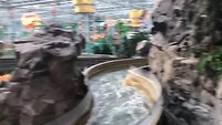 Mall of America