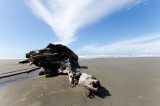 02-09-2015 Beach nr 2