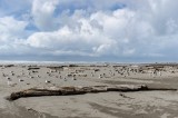 02-09-2015 Beach nr 3