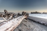 02-09-2015 Rialto Beach
