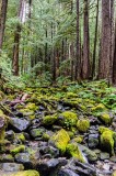 03-09-2015 Sol Duc Trail Olympic NP