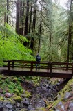 03-09-2015 Sol Duc Falls Trail